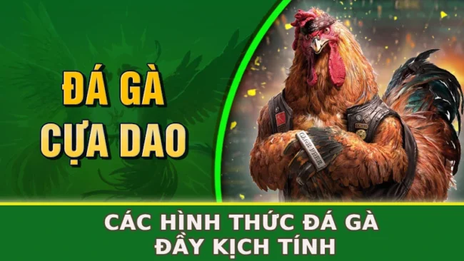 cac-hinh-thuc-da-ga-day-kich-tinh