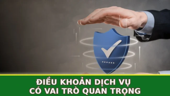 dieu-khoan-dich-vu-co-vai-tro-quan-trong