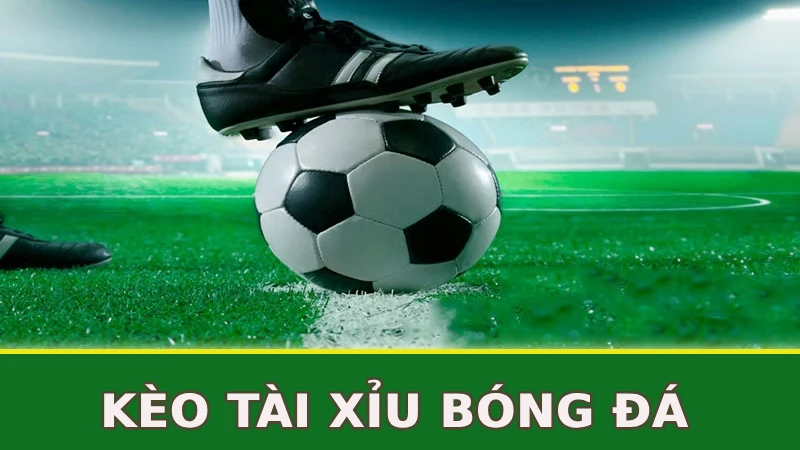 keo-tai-xiu-bong-da