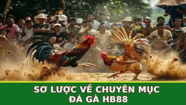 so-luoc-ve-chuyen-muc-da-ga-hb88